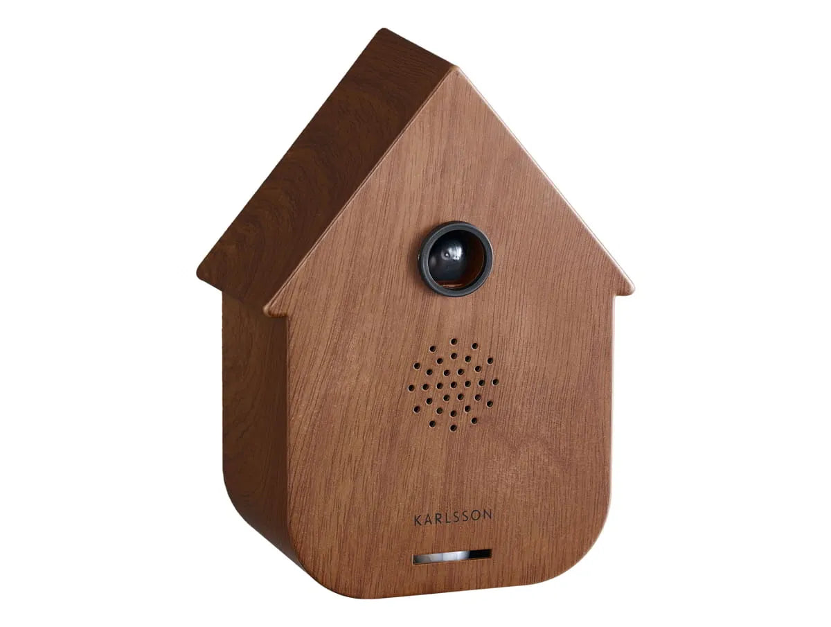 Modern Cuckoo soundbox