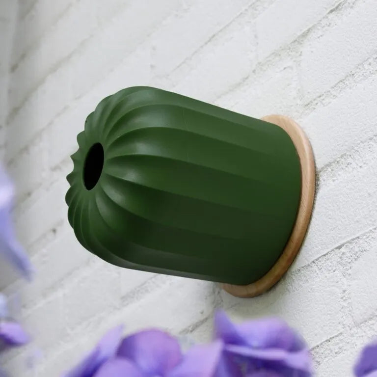 Heeej!  Cactus