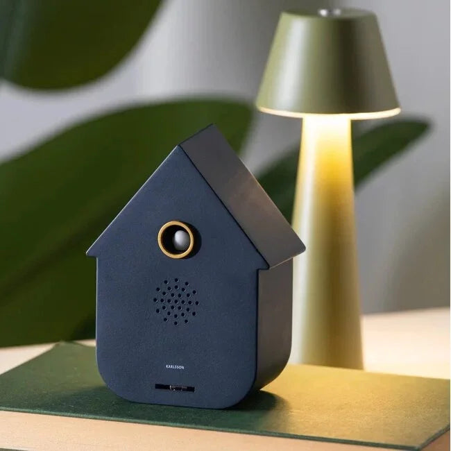 Modern Cuckoo soundbox