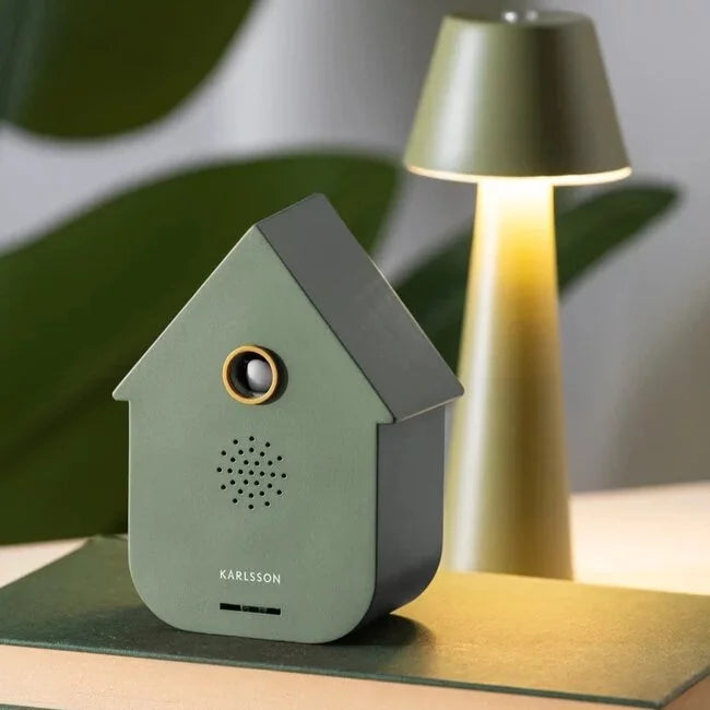 Modern Cuckoo soundbox