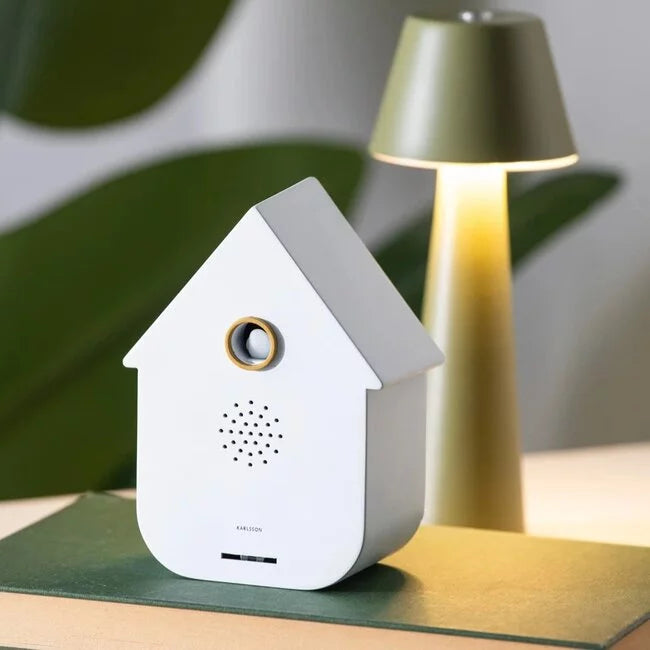 Modern Cuckoo soundbox