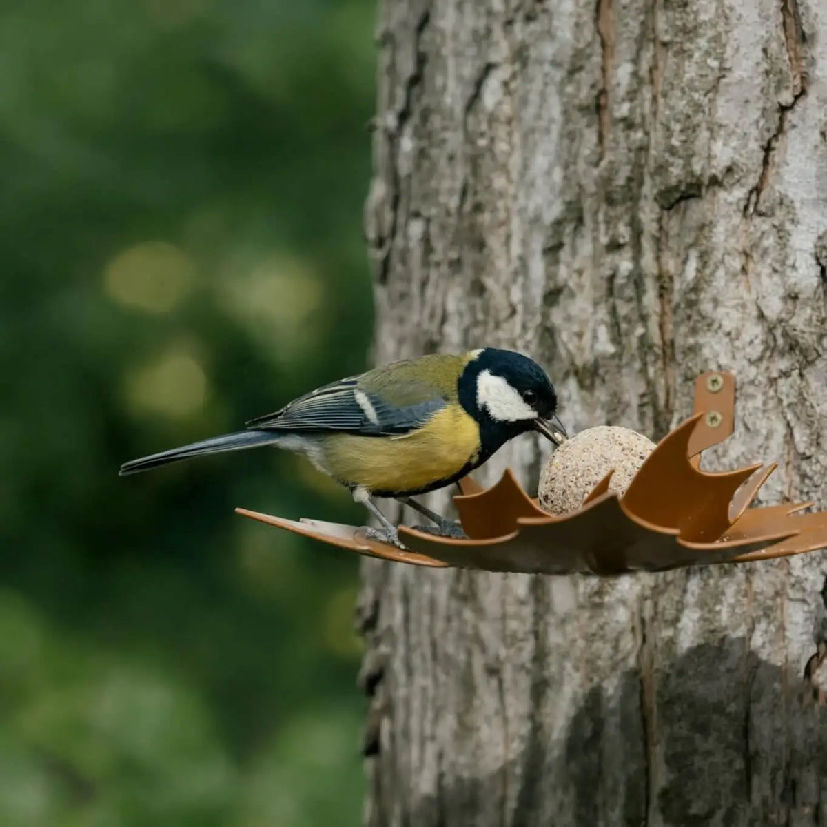 Heeej! Leaf me - wand-vogelvoederschaal Bruin metaal